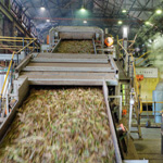 Transmission Products for Sugar Plant Manufacturer