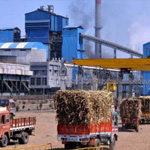 Transmission Products for Sugar Factories